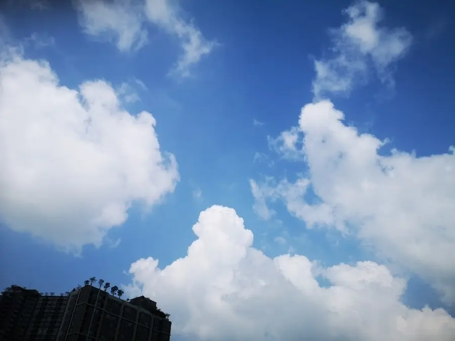 20190330_1