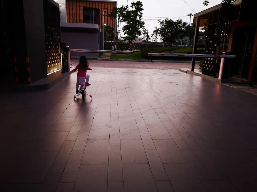 20190425_1