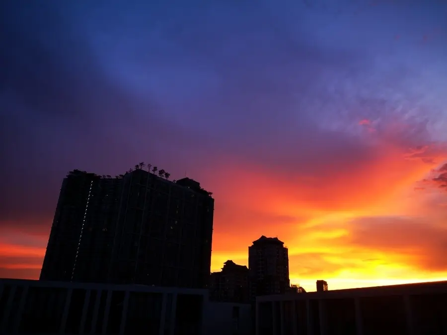 20190503_3
