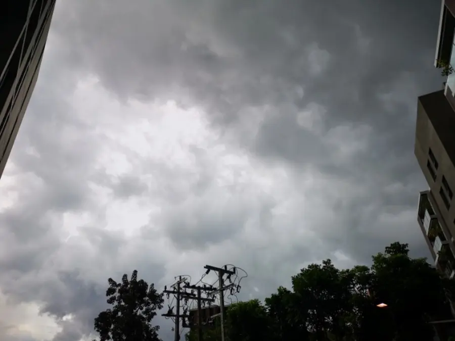 20190625_1