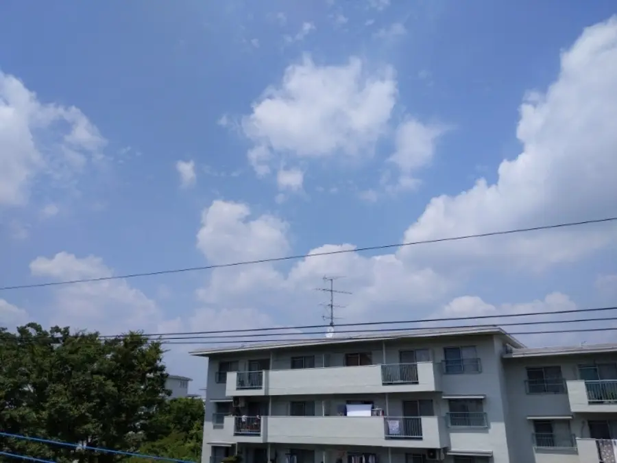 20190729_3