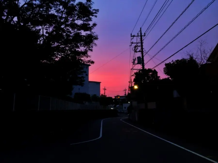20190731_2