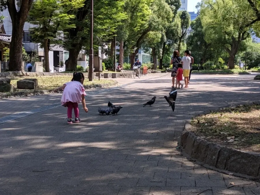 20190804_1