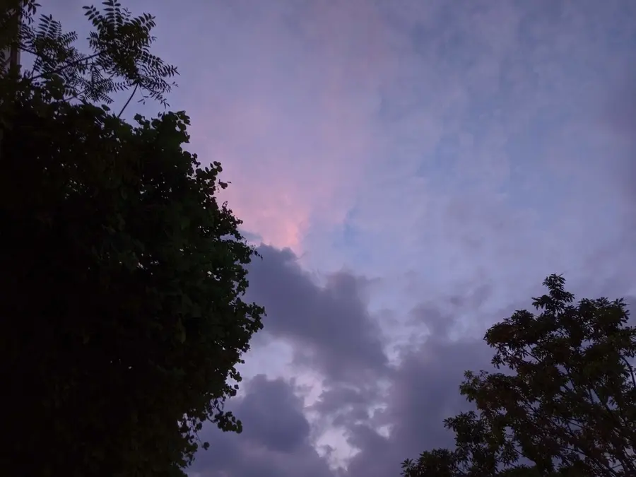 20191019_2
