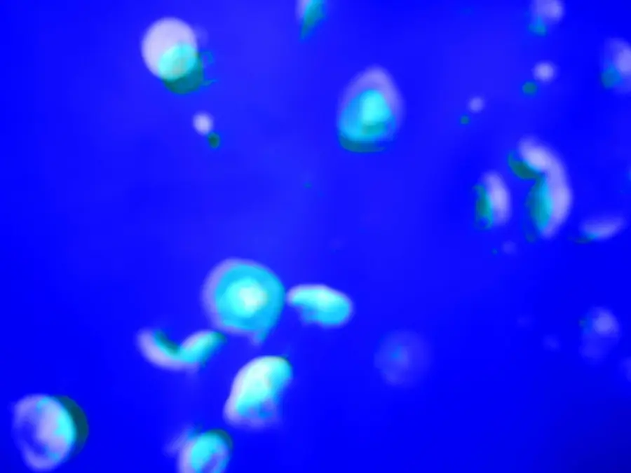 20191029_1