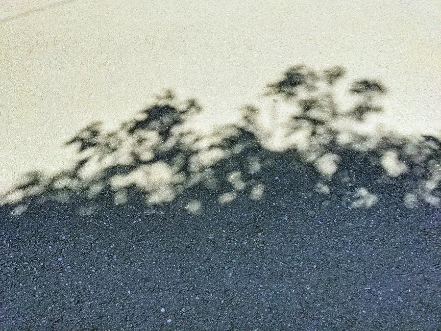 20210429_1