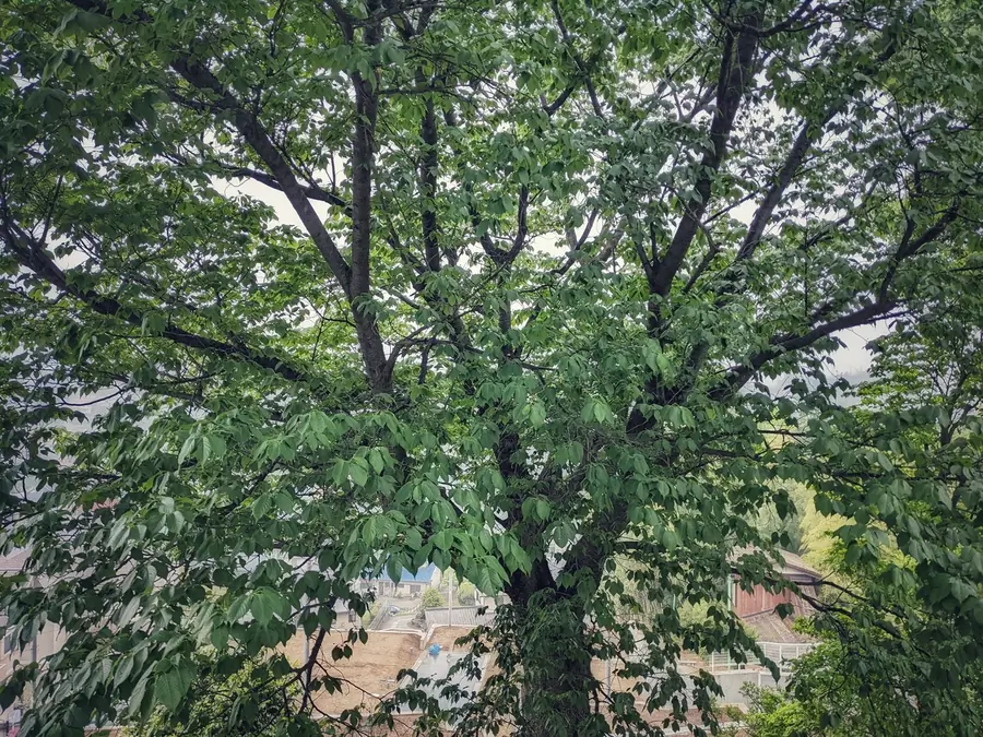 20220428_1