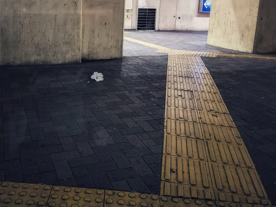 20220724_1