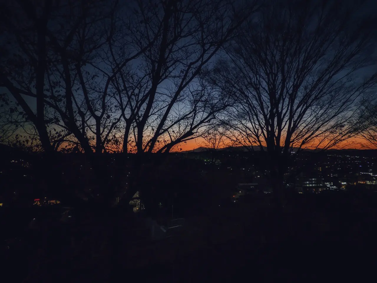 20221228_1